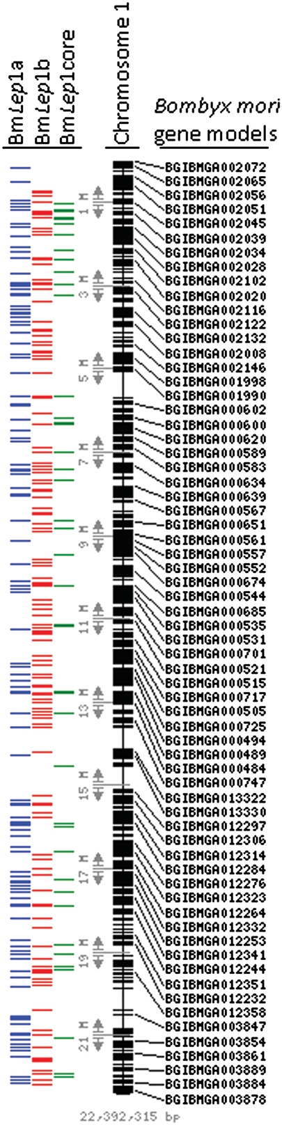 Figure 4.