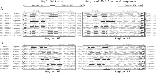 Figure 1.