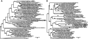 F<sc>ig</sc>. 3.