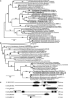 F<sc>ig</sc>. 2.