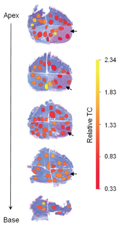 Fig. 2