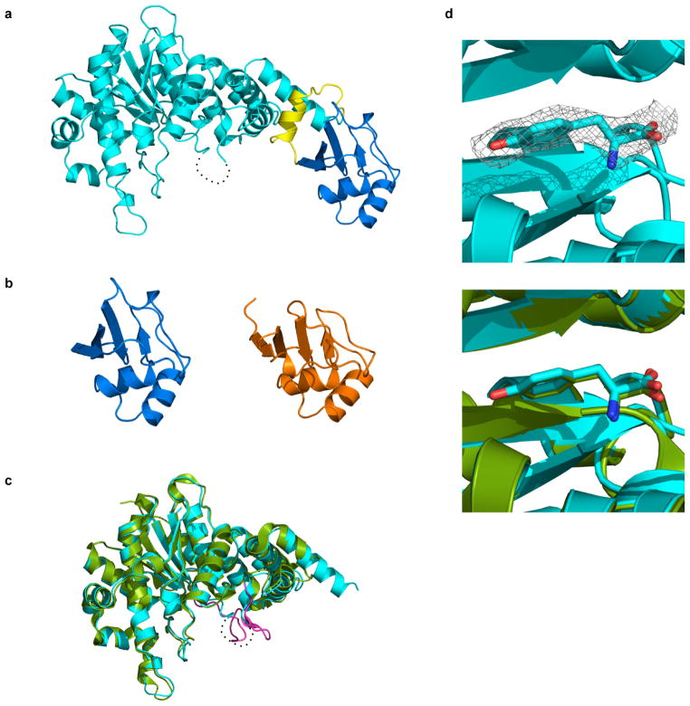 Extended Data Figure 3