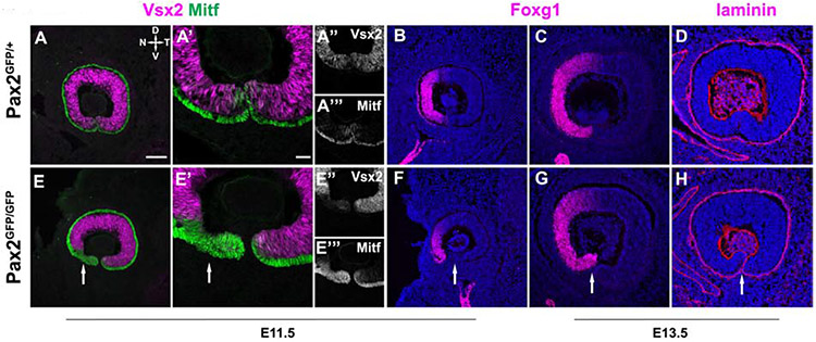 Figure 4.