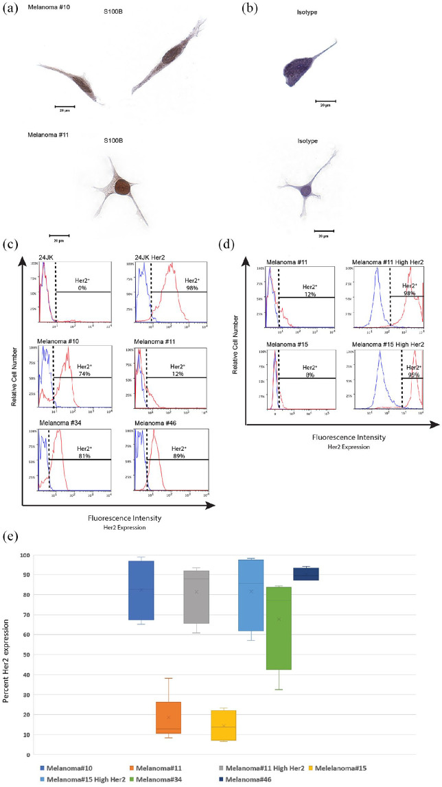 Figure 5.