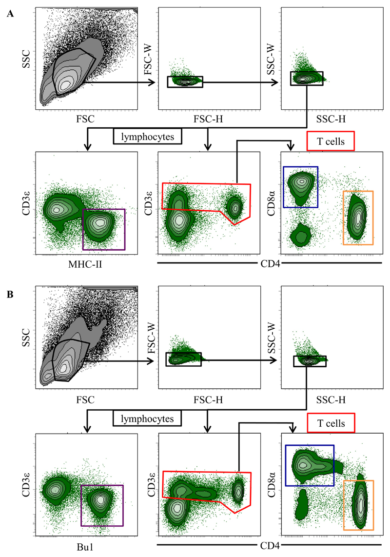 Fig. 3