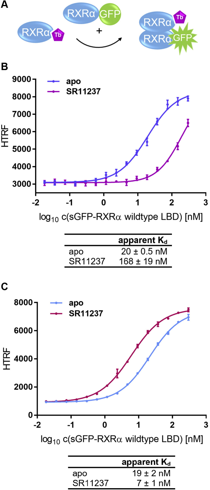 Figure 3