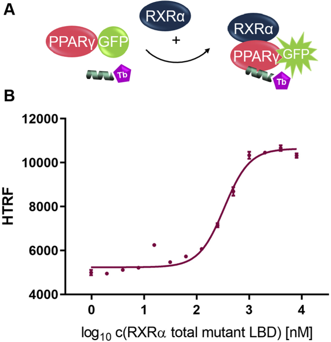 Figure 12