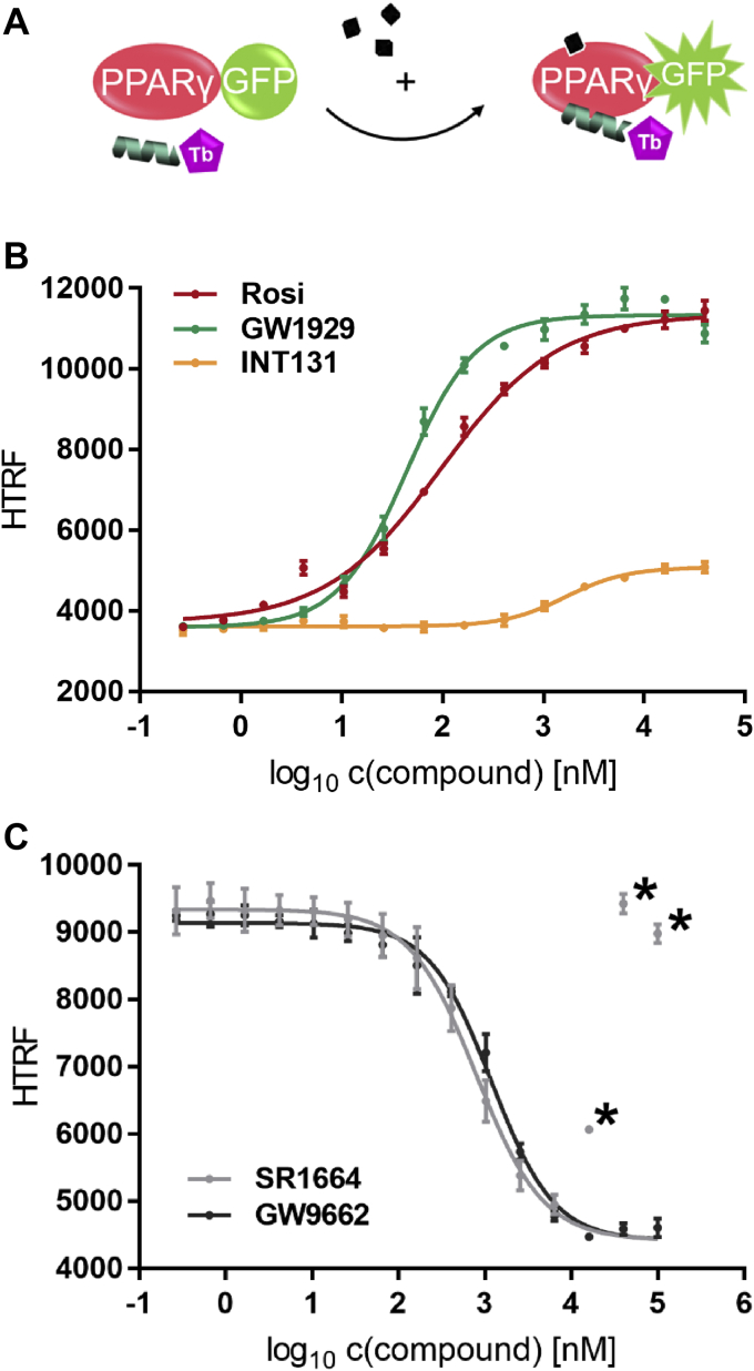 Figure 4