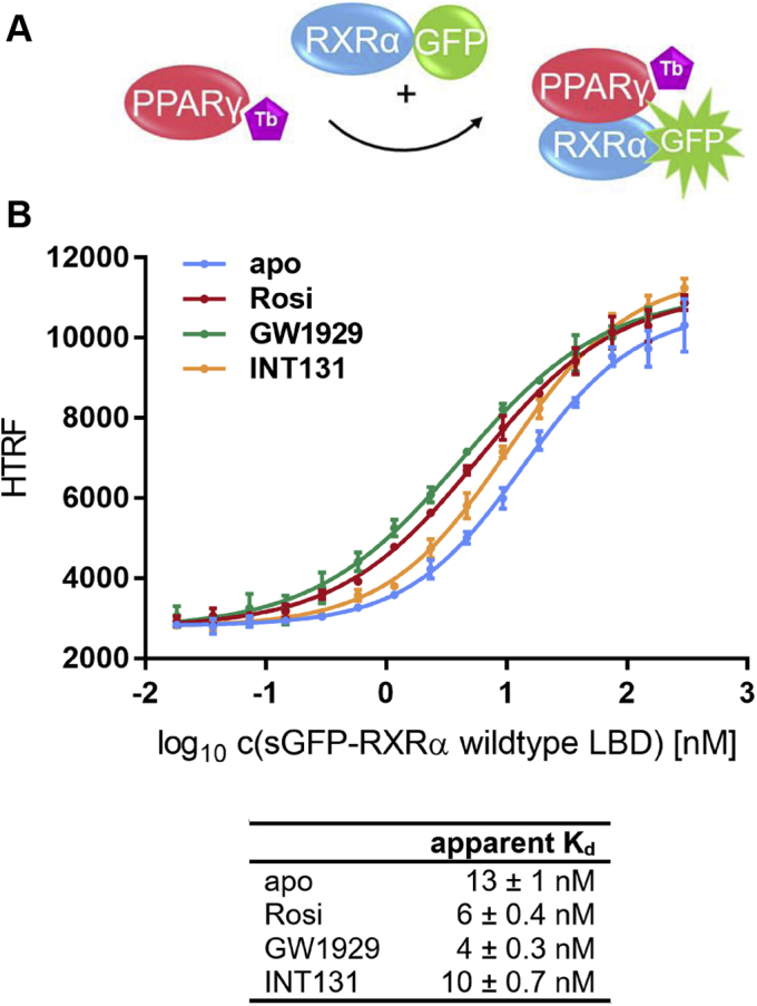 Figure 2