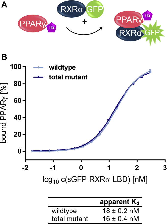 Figure 7