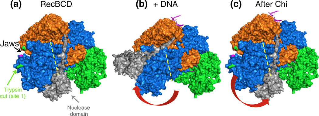 Fig. 10