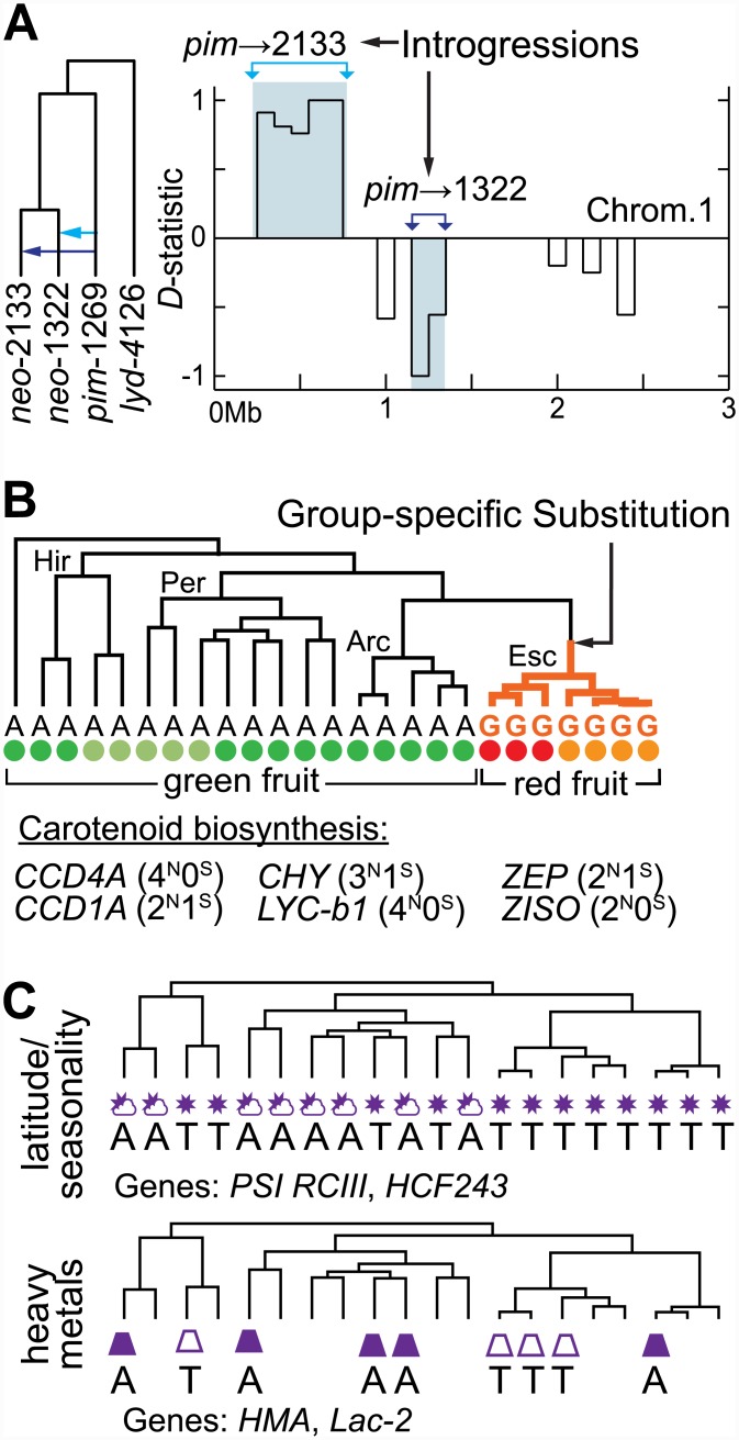 Fig 4