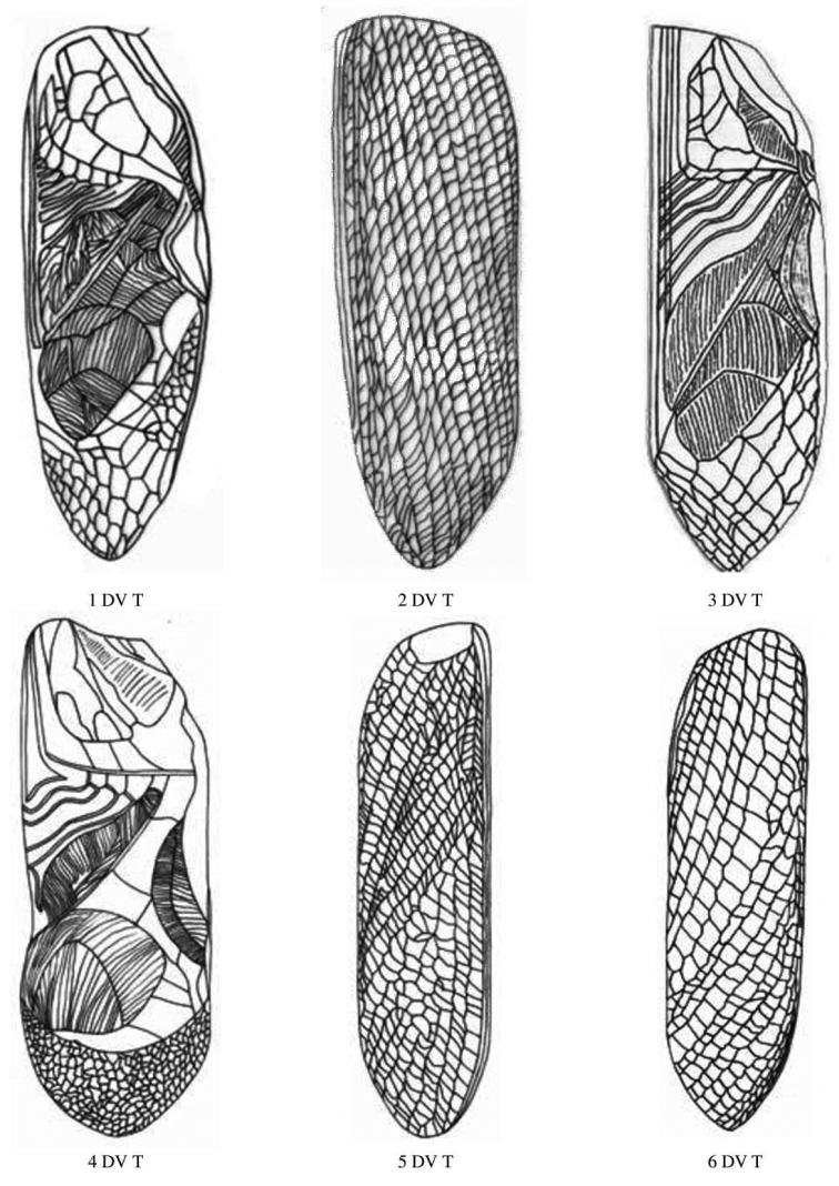 Figure 10.