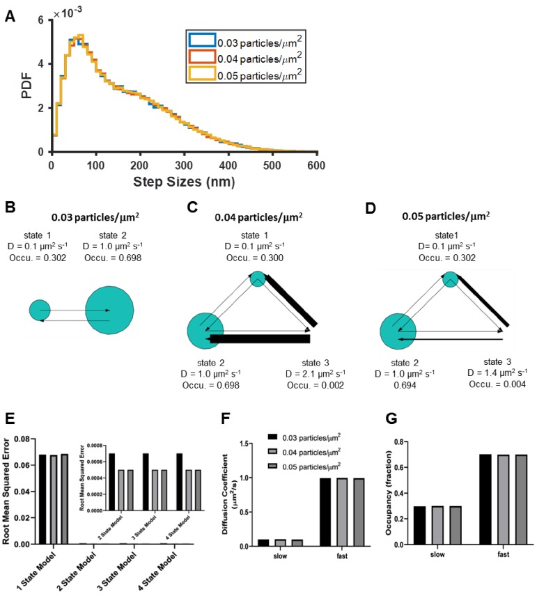 Figure 1—figure supplement 2.