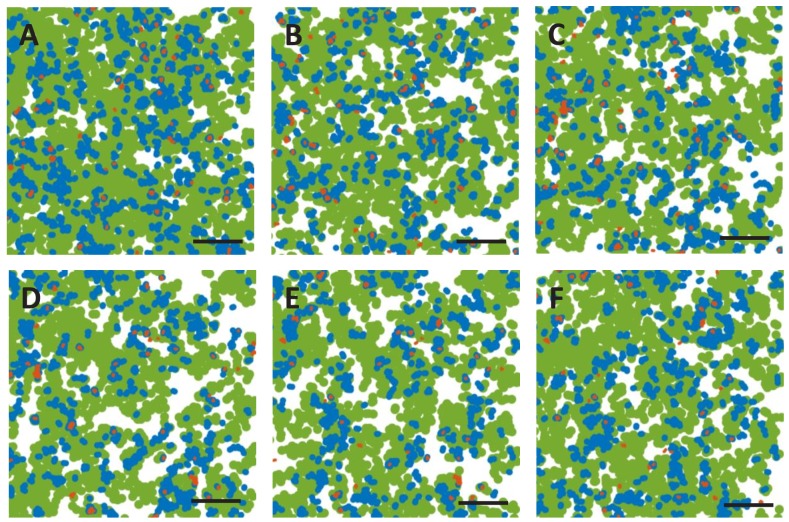 Figure 2—figure supplement 2.