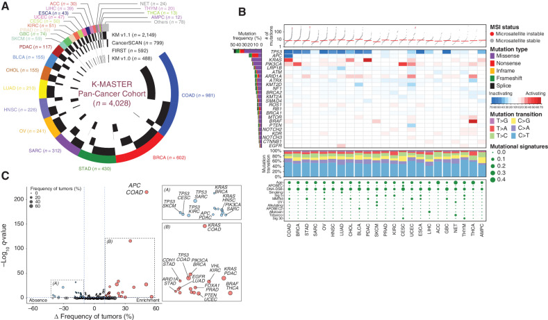 Figure 1. Genomic landscape of the K-MASTER pan-cancer cohort. A, Distribution of major tumor types and corresponding clinical sequencing panels from 4,028 pan-cancer patients. B, Genomic landscape of major cancer driver mutations based on distinct tumor types. Top, number of nonsynonymous mutations with microsatellite instability (MSI) status. Top middle, frequency of each mutation in corresponding tumor types. Red indicates activating oncogenes, and blue indicates inactivating tumor suppressors. The left bar indicates the percentage of tumor within the pan-cancer cohort with respect to a different type of mutation. Bottom middle, six classes of base substitution in each mutation type. Bottom, mutational signatures. The size of the node is proportional to the number of patients within each tumor type. C, Volcano plot representation of tumor frequency differences (x-axis) between tumors with the mutation in the corresponding tumor type versus the rest and its significance (y-axis). Mutations that are significantly more enriched in specific tumor types are in colored in red, whereas absences are colored in blue. ACC, adrenal carcinoma; AMPC, ampullary carcinoma; BLCA, bladder urothelial carcinoma; BRCA, breast adenocarcinoma; CESC, cervical cancer; CHOL, cholangiocarcinoma; COAD, colorectal adenocarcinoma; DNA-DSB, DNA double-strand break; ESCA, esophageal carcinoma; GBC, gallbladder cancer; HNSC, head and neck cancer; KIRC, kidney renal clear cell carcinoma; LIHC, liver hepatocellular carcinoma; LUAD, lung adenocarcinoma; MMRd, mismatch repair deficiency; NET, neuroendocrine carcinoma; OV, ovarian carcinoma; PDAC, pancreatic adenocarcinoma; PRAD, prostate adenocarcinoma; SARC, sarcoma; SKCM, skin cutaneous melanoma; STAD, stomach adenocarcinoma; THCA, thyroid carcinoma; THYM, thymoma; UCEC, uterine corpus endometrial carcinoma.