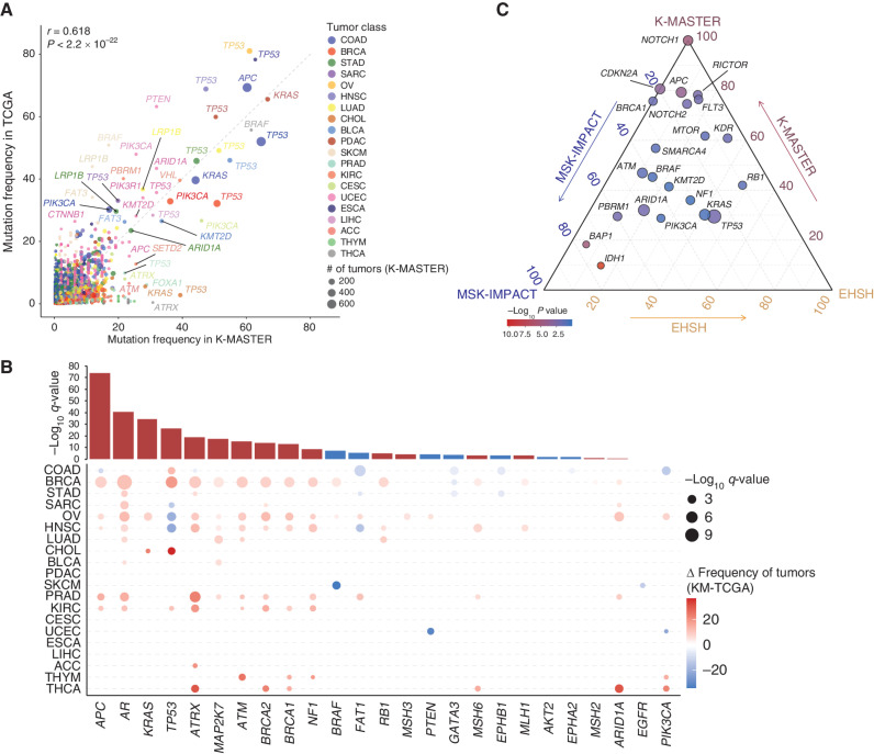 Figure 3. Genomic diversity of pan-cancer patients based on ethnicity. A, Mutation frequencies in the TCGA (y-axis) and K-MASTER (x-axis) cohorts. The color corresponds to distinct tumor type, and the size of each node represents the number of tumors within the K-MASTER cohort. B, Pan-cancer meta-analysis on recurrent mutations between the K-MASTER and TCGA cohorts across 20 cancer types. The top bar graph demonstrates the significance of each mutation at the pan-cancer level. The bottom dot plot represents the significance and difference of each mutation at individual cancer lineage levels. The color corresponds to the effect size of K-MASTER patients (KM) compared with that of the TCGA, and the size is proportional to the significance. C, Ternary diagram depicting mutation frequencies in the K-MASTER, EHSH in Shanghai, China, and MSK-IMPACT cohorts. The size of each node represents the number of tumors with respect to the mutation in the K-MASTER cohort, and the color spectrum indicates the significance of relative frequencies. ACC, adrenal carcinoma.