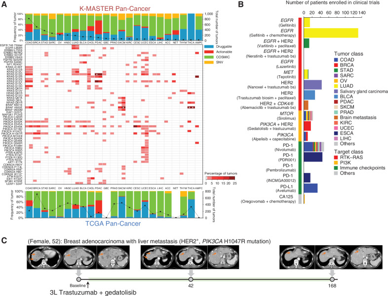 Figure 4. Therapeutic landscape of pan-cancer patients based on ethnicity. A, The top bar graph depicts the distribution of major mutations based on the clinical actionability of the mutations in the K-MASTER cohort. The bottom bar graph represents the TCGA pan-cancer cohort. Mutations are categorized as “druggable” if they are FDA-approved biomarkers for FDA-approved drugs. Mutations are labeled as “actionable” if there is substantially compelling evidence to support the use of biomarkers to predict the response, especially the resistance of FDA-approved drugs. Mutations are labeled as “COSMIC” if they have been previously annotated using the COSMIC (Catalogue of Somatic Mutations in Cancer) database. Mutations that do not belong to any of the categories mentioned previously are depicted as “SNV.” Middle, frequencies of clinically actionable mutations across major cancer types in K-MASTER (left portion of the cell) compared with TCGA (right portion of the cell). Genes have been grouped by pathway. The white asterisk represents tumor types with more than 25% frequency (29.1% of KRASG12D mutation in K-MASTER PDAC, 43.6% of BRAFV600E mutation in TCGA SKCM, and 61.5% and 59.3% of BRAFV600E mutations in K-MASTER and TCGA THCA, respectively). B, The number of patients who have been enrolled to matched clinical trials based on unique molecular alterations. Trastuzumab bs, trastuzumab biosimilar. C, Clinical course of third-line (3L) trastuzumab and gedatolisib treatment in a BRCA patient with liver metastasis harboring a PIK3CA H1047R mutation. T1-weighted contrast-enhanced magnetic resonance images are shown for baseline, 6-week, and 24-week posttreatment. Orange arrows indicate measurable tumors. ACC, adrenal carcinoma; GBC, gallbladder cancer; NET, neuroendocrine carcinoma.