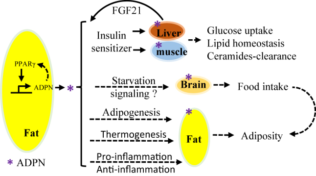 Figure 3: