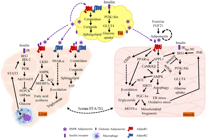 Figure 1: