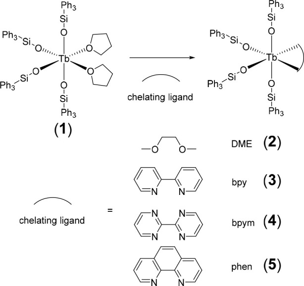 Scheme 2