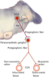 Fig. (1)