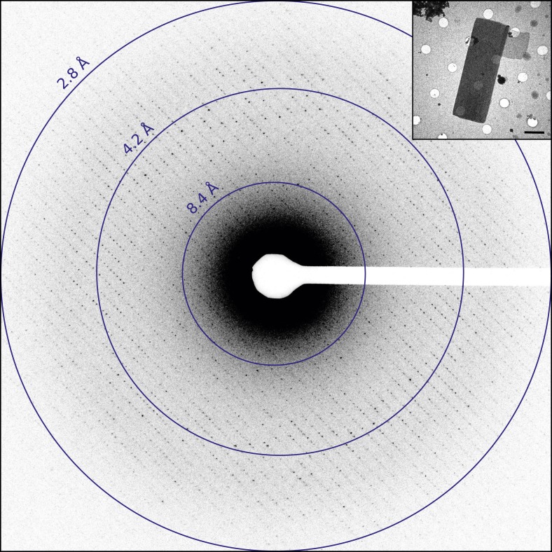 Figure 1.