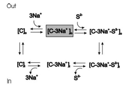 Fig. 10