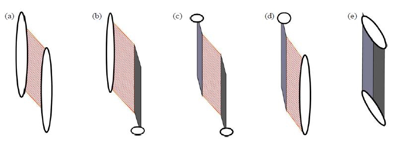 Fig. 8