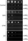 Fig 4