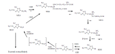 Fig. (7)