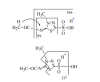 Fig. (6)