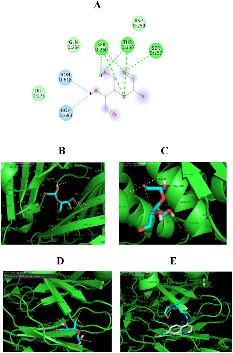 Fig. 7