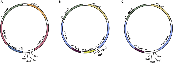 Figure 1