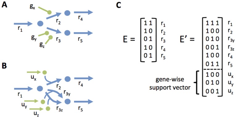 Fig 7