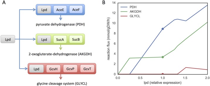 Fig 5