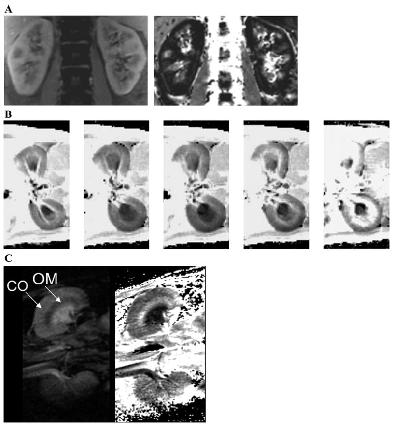 Fig. 5