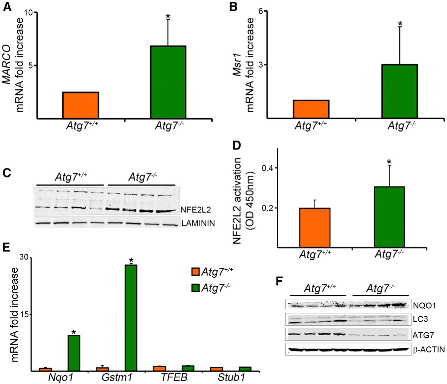 Figure 6.