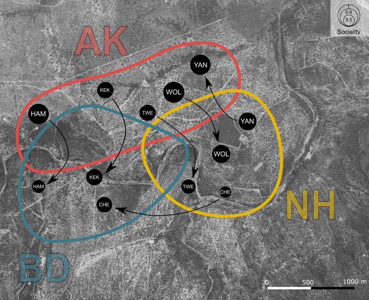Figure 2