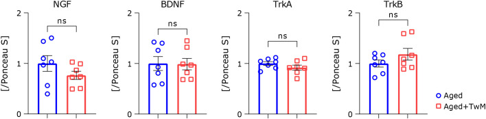 Fig. 7.