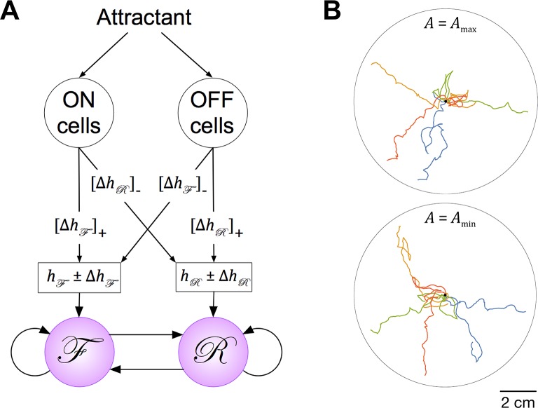 Figure 8—figure supplement 2.