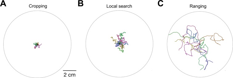 Figure 2—figure supplement 1.