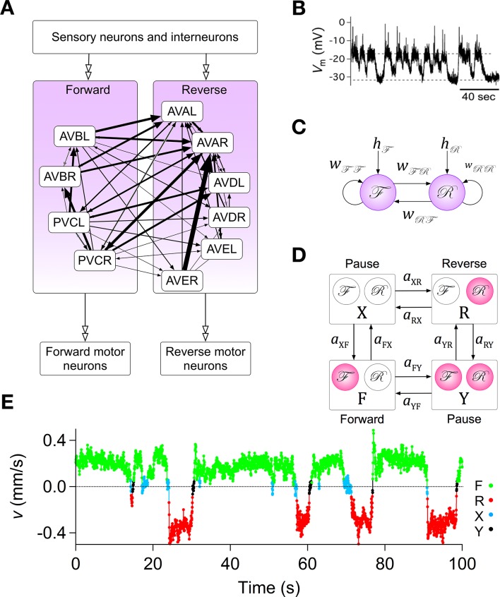 Figure 2.