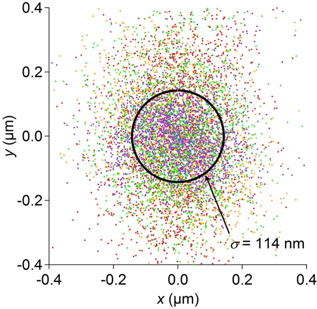 Figure 1—figure supplement 1.