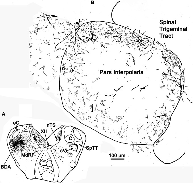 Figure 13