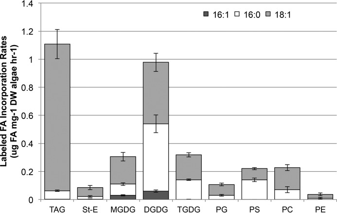 FIGURE 7.