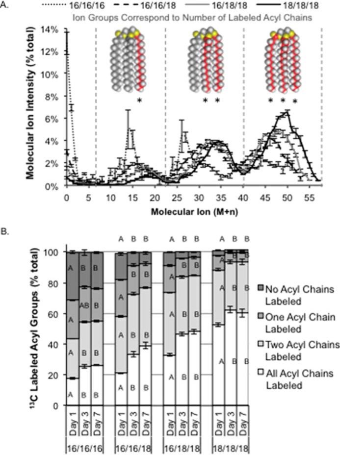 FIGURE 3.