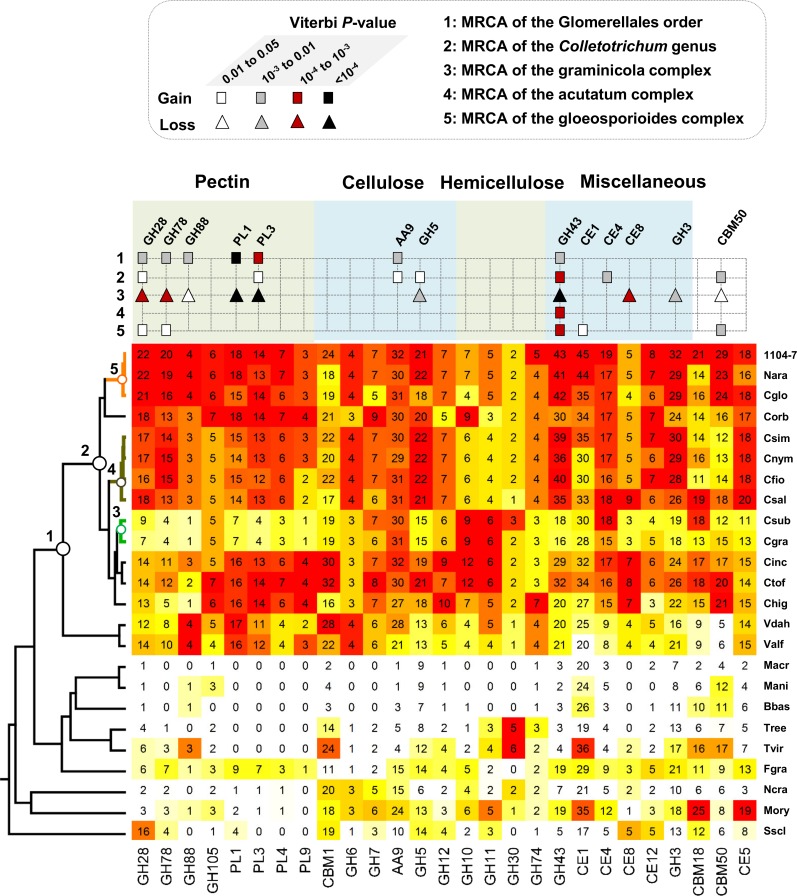 Fig 4