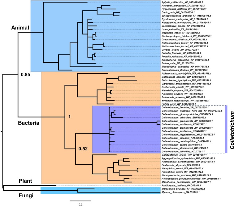 Fig 6