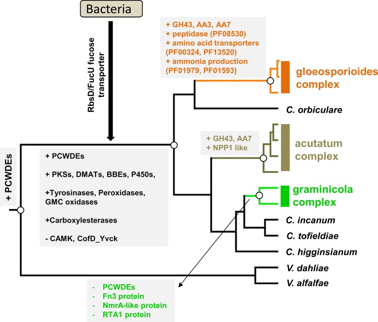 Fig 8